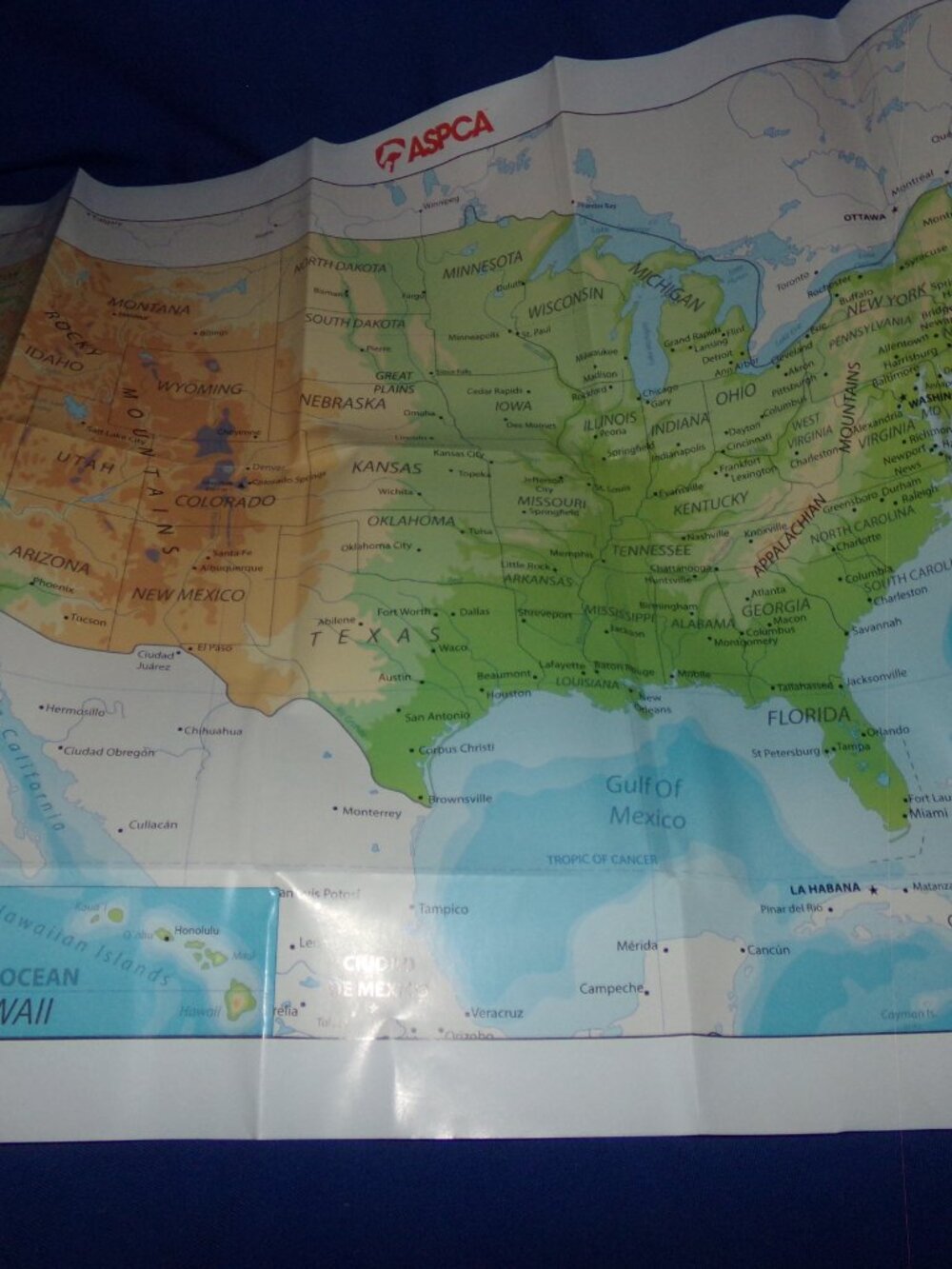 Vintage ASPCA Large Color Wall Map of The United States - Undated -